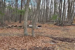 Lot 37 Sherman Dr, Augusta, WV 26704 - Photo 15