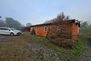 3165 Springfield Pike, Springfield, WV 26763 - Photo 7