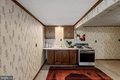 1365 E Bloomery Pike, Bloomery, WV 26817 - Photo 45