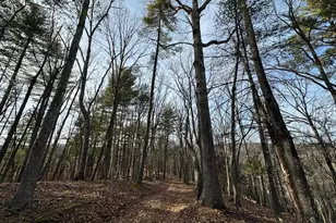 320 Cowgill Ln, Paw Paw, WV 25434 - Photo 63