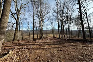 320 Cowgill Ln, Paw Paw, WV 25434 - Photo 65