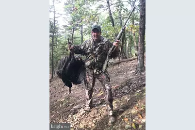 1731 Brocket Drive, Points, WV 25437 - Photo 101