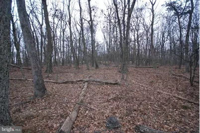 Lot 21 Gold Nugget Road, Augusta, WV 26704 - Photo 9