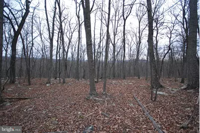 Lot 88 Wakeman Drive, Augusta, WV 26704 - Photo 7
