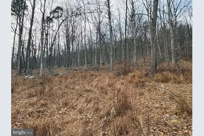 10.03 Ac Dove Drive, Paw Paw, WV 25434 - Photo 7