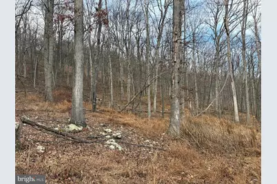 10.03 Ac Dove Drive, Paw Paw, WV 25434 - Photo 11