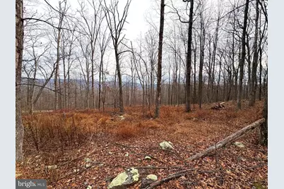 10.03 Ac Dove Drive, Paw Paw, WV 25434 - Photo 1