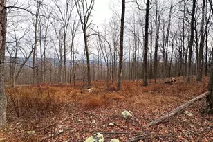 10 03 Ac Dove Dr, Paw Paw, WV 25434 - Photo 1