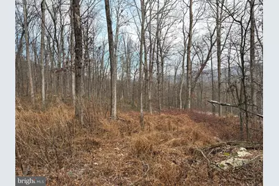 10.03 Ac Dove Drive, Paw Paw, WV 25434 - Photo 13