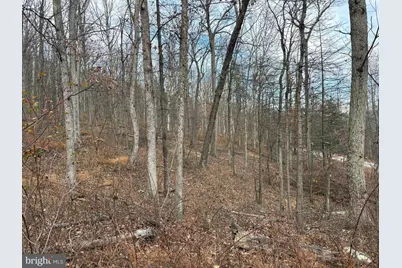 10.03 Ac Dove Drive, Paw Paw, WV 25434 - Photo 15