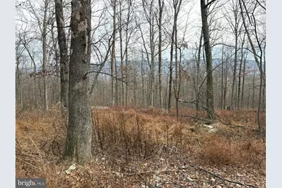 10.03 Ac Dove Drive, Paw Paw, WV 25434 - Photo 3