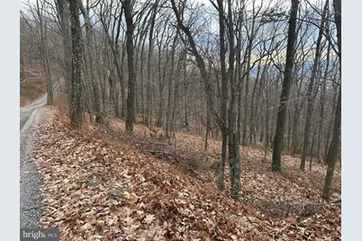 Lot 14 Sec 8 Lawyer Lane, Slanesville, WV 25444 - Photo 7