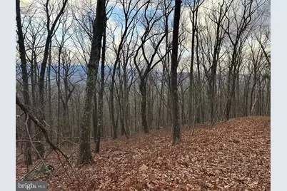 Lot 14 Sec 8 Lawyer Lane, Slanesville, WV 25444 - Photo 3