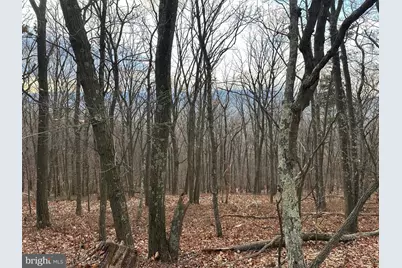 Lot 14 Sec 8 Lawyer Lane, Slanesville, WV 25444 - Photo 5