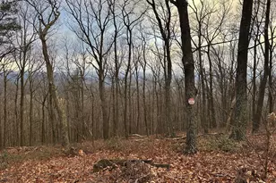 Lot 24 Sec 10 Lawyer Ln, Slanesville, WV 25444 - Photo 1