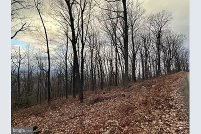 Lot 24 Sec 10 Lawyer Lane, Slanesville, WV 25444 - Photo 5