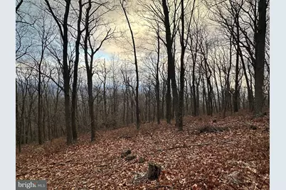 Lot 24 Sec 10 Lawyer Lane, Slanesville, WV 25444 - Photo 7