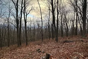 Lot 24 Sec 10 Lawyer Ln, Slanesville, WV 25444 - Photo 1