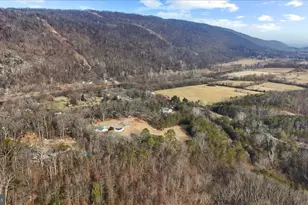 146 Miracle Dr, Springfield, WV 26763 - Photo 37