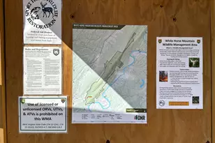 2402 Clarence Taylor Rd, Springfield, WV 26763 - Photo 117