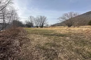 2402 Clarence Taylor Rd, Springfield, WV 26763 - Photo 69