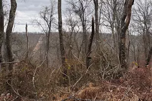 Pcl 19 Section 9 Dehaven Rd, Capon Bridge, WV 26711 - Photo 1