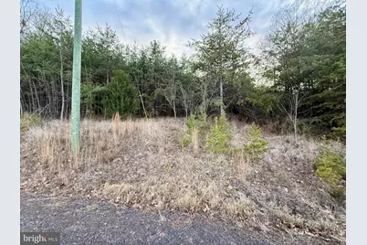 Quivey's Lookout Pt #LOT 28, Romney, WV 26757 - Photo 33