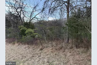 Quivey's Lookout Pt #LOT 28, Romney, WV 26757 - Photo 23