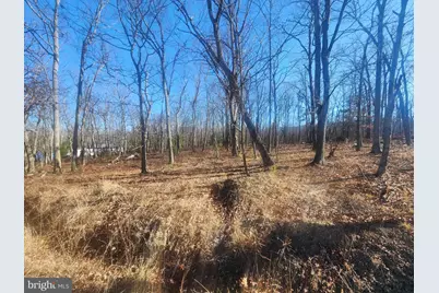 Lot N Pioneer Lane, Augusta, WV 26704 - Photo 3