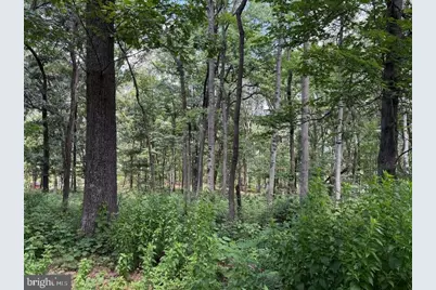 80 Cabin Road, Augusta, WV 26704 - Photo 3