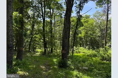 80 Cabin Road, Augusta, WV 26704 - Photo 1