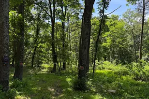 79 Cabin Rd, Augusta, WV 26704 - Photo 1