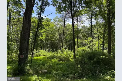 80 Cabin Road, Augusta, WV 26704 - Photo 5