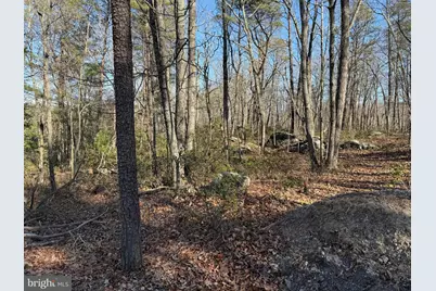 Lot 7 & 8 Ritters Hidden Valley, Capon Bridge, WV 26711 - Photo 3