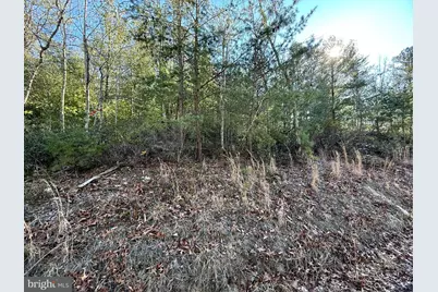 Lot 7 & 8 Ritters Hidden Valley, Capon Bridge, WV 26711 - Photo 27