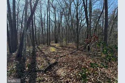 Lot 7 & 8 Ritters Hidden Valley, Capon Bridge, WV 26711 - Photo 17