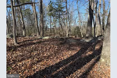 Lot 7 & 8 Ritters Hidden Valley, Capon Bridge, WV 26711 - Photo 13