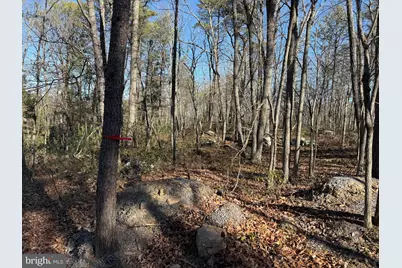 Lot 7 & 8 Ritters Hidden Valley, Capon Bridge, WV 26711 - Photo 11