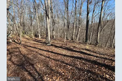 Lot 7 & 8 Ritters Hidden Valley, Capon Bridge, WV 26711 - Photo 15