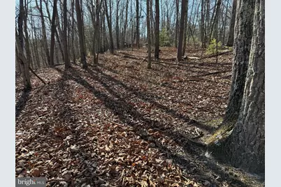 Lot 7 & 8 Ritters Hidden Valley, Capon Bridge, WV 26711 - Photo 5