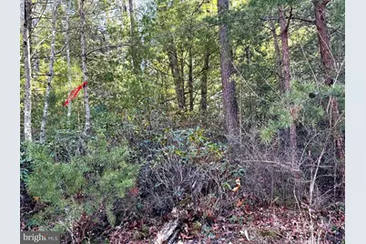 Lot 7 & 8 Hidden Ritters Valley, Capon Bridge, WV 26711 - Photo 21