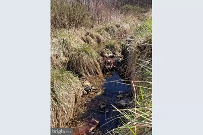 2863 Christian Church Road, High View, WV 26808 - Photo 99