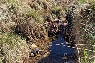 2863 Christian Church Rd, High View, WV 26808 - Photo 99