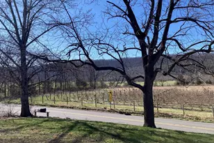 2863 Christian Church Rd, High View, WV 26808 - Photo 95