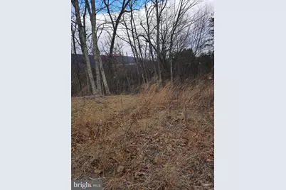 Lot 1 Cornwell Drive, Romney, WV 26757 - Photo 5