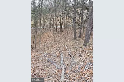 Lot 1 Cornwell Drive, Romney, WV 26757 - Photo 7