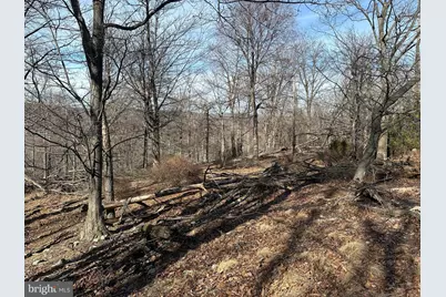 116 River Ridge, Yellow Spring, WV 26865 - Photo 13