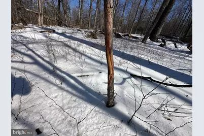 116 River Ridge, Yellow Spring, WV 26865 - Photo 15