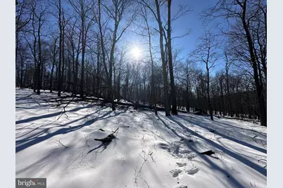 116 River Ridge, Yellow Spring, WV 26865 - Photo 11