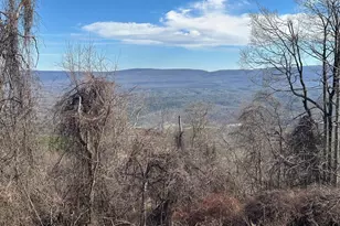 Lots # 35 & 117 River Ridge, Yellow Spring, WV 26865 - Photo 1